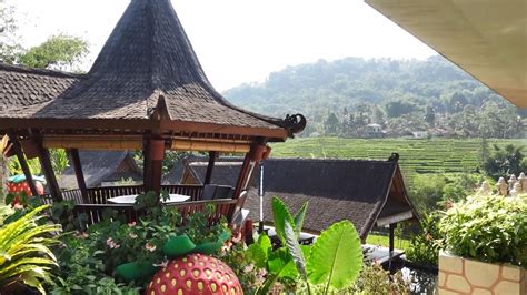 Hamparan Sawah Yang Luas Liwet Asep Stroberi Nagreg Bandung YouTube