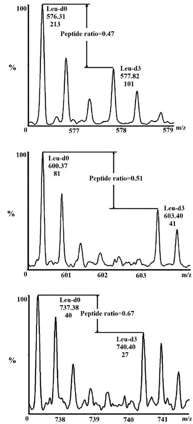 Three Representative Pairs Of Isotope Labeling Peaks For Quantification