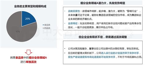 国企改革咨询：混合所有制改革 国企改革 中大咨询