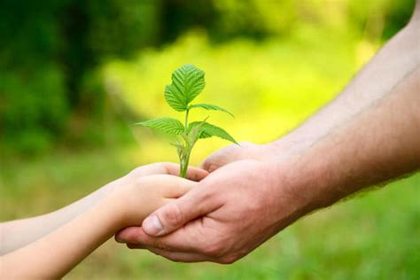 4 dicas para ensinar seu filho a cuidar do meio ambiente Colégio