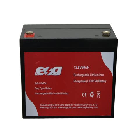 Esg LiFePO4 Storage 6000 Cycle Life Solar 12 8V 50ah 100ah Battery