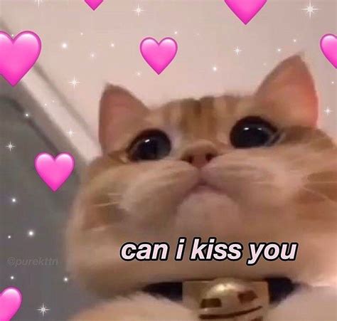 Wholesome Love Memes Instagram Pin By ⋆ 𝒢 𝒢 ⋆ っ っ ♥ G G ♥ On