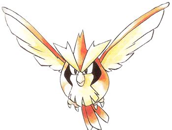 Pidgey - The Pokémon Wiki