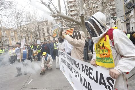 En fotos Manifestación de las organizaciones agrarias en Zaragoza