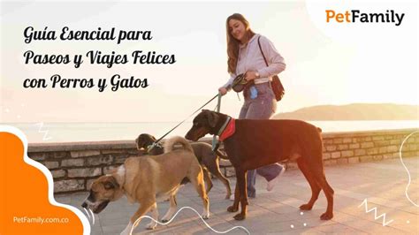 Guía Esencial para Paseos y Viajes Felices con Perros y Gatos Pet Family