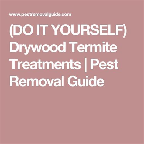 Do It Yourself Drywood Termite Treatments Pest Removal Guide