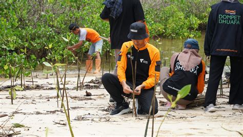 Renungan Di Hari Gerakan Satu Juta Pohon Sedunia Disaster Management