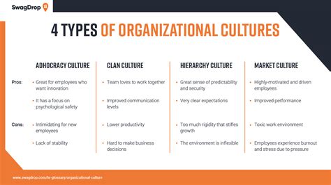 Organizational Culture: Definition, Examples & Types