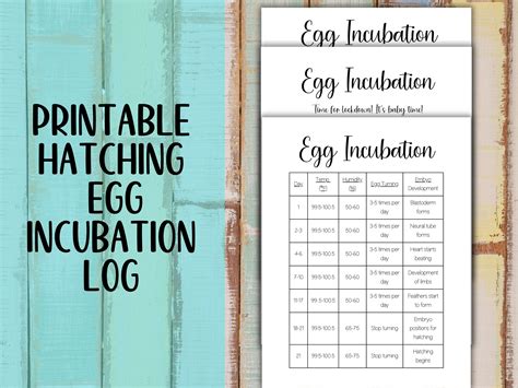 Printable Chicken Egg Incubation Calendar Incubation Log Incubation Tracker For Hatching Eggs