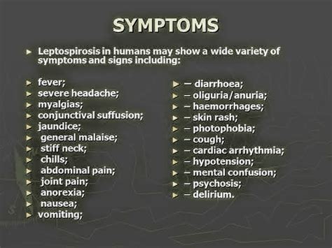 Sign And Symptoms Of Leptospirosis Pt Master Guide