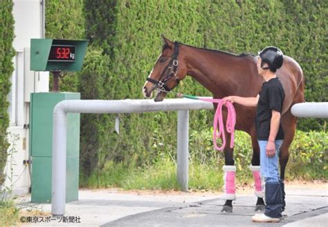 【競馬】レシステンシアちゃん、また秘密を盗撮されてしまう │ うまむすアンテナ ウマ娘攻略5chまとめアンテナ速報