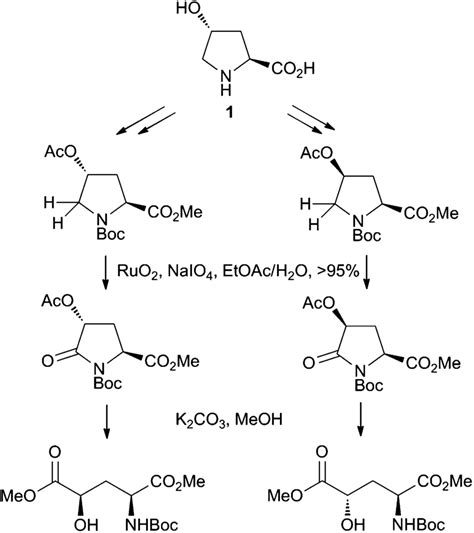 Scheme 4 Synthesis Of 5 As A Fragment Of 4 Published On 17 January