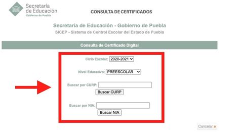 Curp Y Nia Sep Consultar E Imprimir Gratis Online