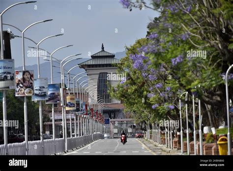 A View Of Narayanhiti Palace Museum Along With The Jacaranda Flower