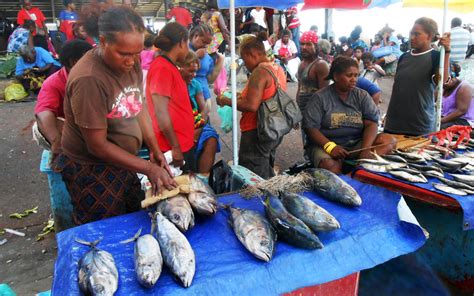 Better Infrastructure To Improve Solomons Fisheries Returns Radio