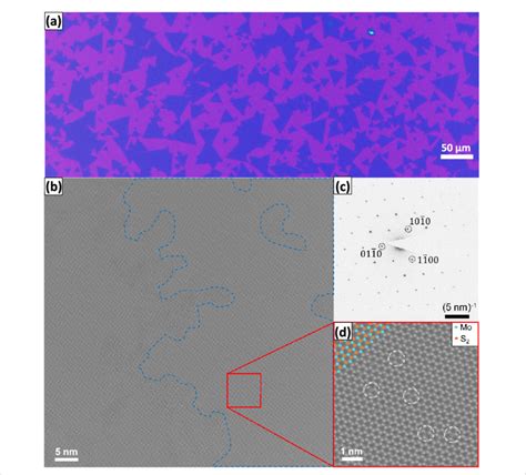 A Optical Microscope Image Of As Grown Cvd Mos 2 Monolayers On Sio 2