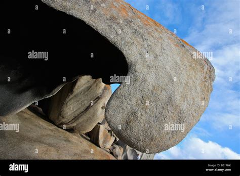 Kangaroo Shadow Hi Res Stock Photography And Images Alamy
