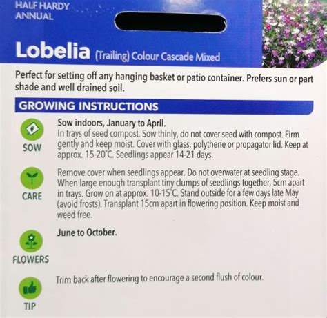 Lobelia Trailing Colour Cascade Seeds Irish Plants Direct