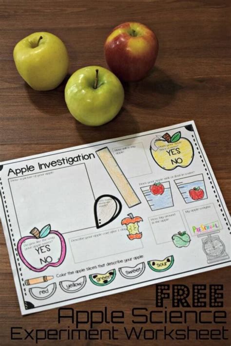 🍏 Free Printable Apple Worksheets Preschool