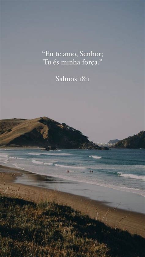 Versículo Bíblico Para Biografia - Vercilo bíblico frases | Versículo para biografia do instagram ...