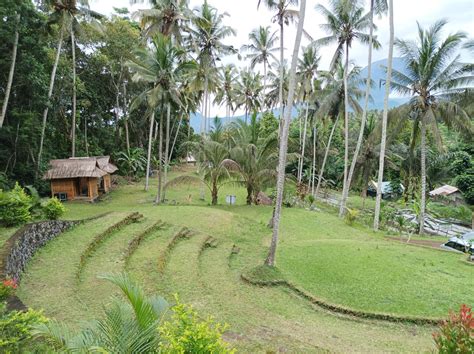 Fokus Pada Wisata Berkualitas Asita Bali Optimalkan Paket Tour Ke Desa