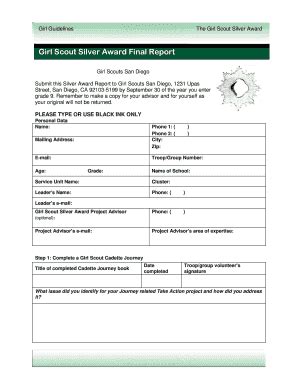 Fillable Online Thinmint Sdgirlscouts Submit This Silver Award Report