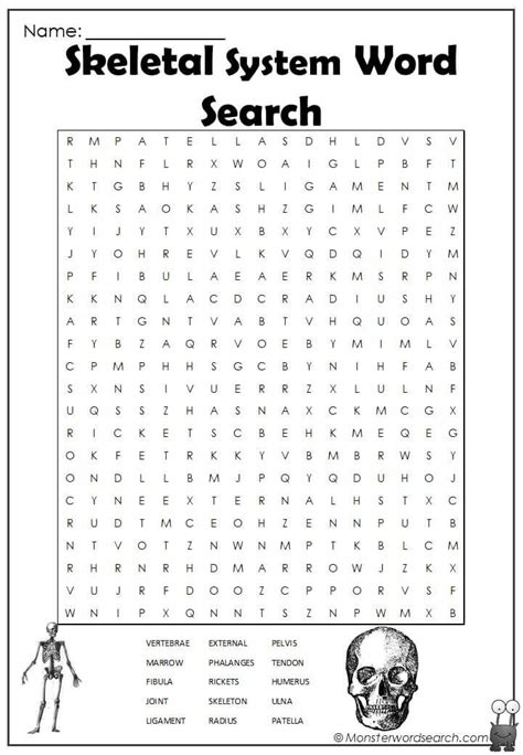 Skeletal System Word Search Artofit