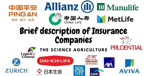 Top 10 Biggest Insurance Companies In The World Hutomo