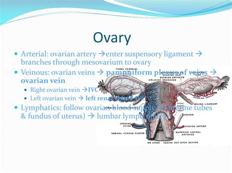 Ppt Case 5 Powerpoint Presentation Free Download Id1726796