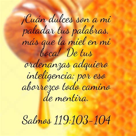 Pin On FRASES BIBLICAS