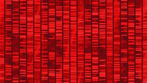 The potential future of healthcare? Prevention! 