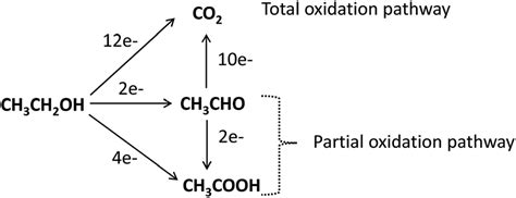 Schematic Of The Parallel Pathways For The Electrocatalytic Oxidation