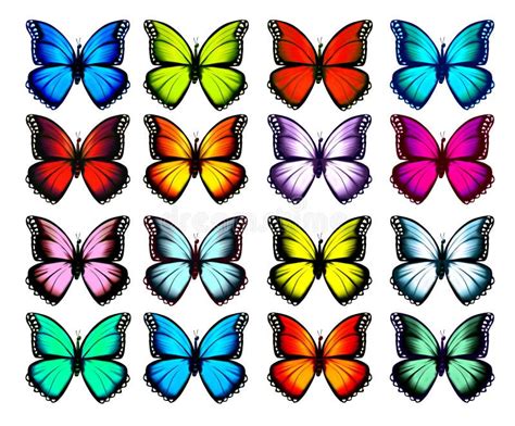 Conjunto De Mariposas De Colores Silueta De Mariposa Stock De