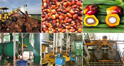 How To Buy Palm Oil Milling Machine