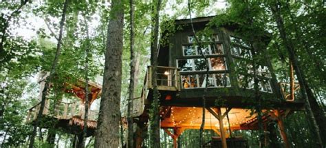 6 Tree Houses for Rent | DoItYourself.com