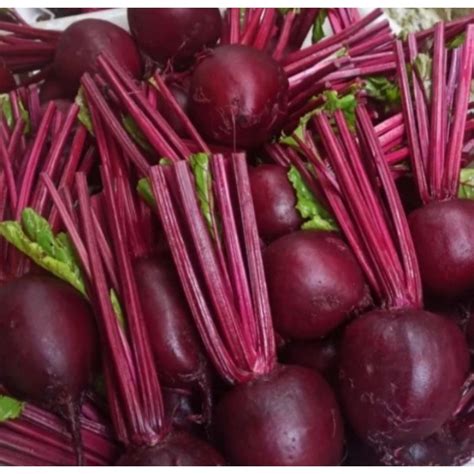jual buah bit beet root fresh  kg shopee indonesia