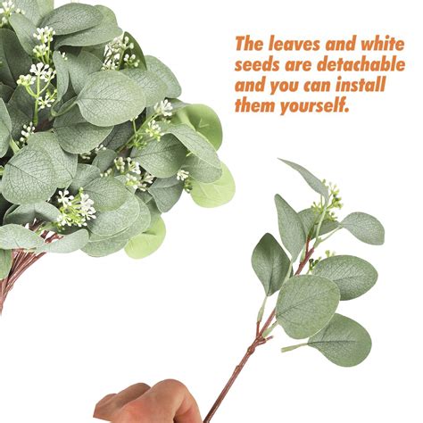 Falflor Pcs Artificial Eucalyptus Seeded Stems Greenery Eucalyptus