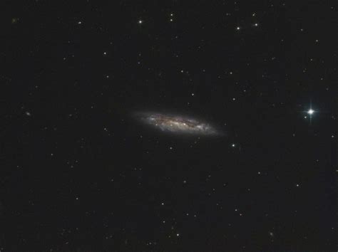 Die Galaxie Messier 108 - Spreewald-Spechtler
