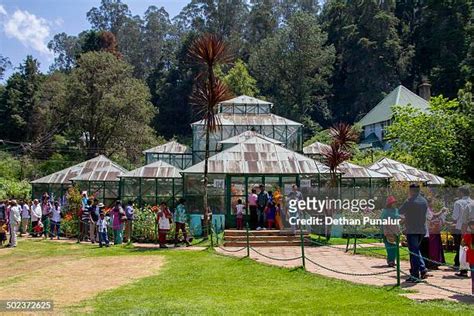 Ooty Botanical Gardens Photos And Premium High Res Pictures Getty Images
