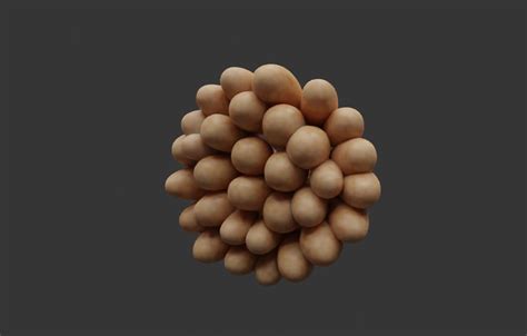 Artstation Mammary Gland Anatomy Resources