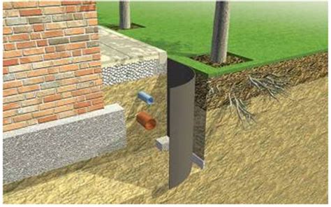 What Are Tree Root Barriers? Best Protection - ArborAeration