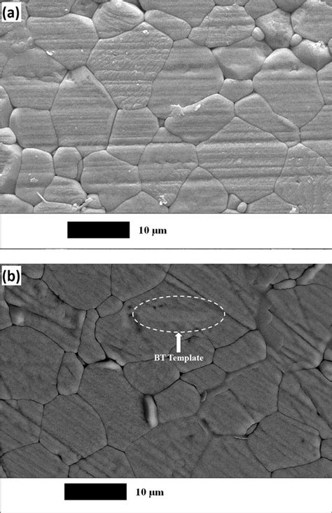 Cross Sectional Sem Micrographs Of A Random And B Texture Ceramics