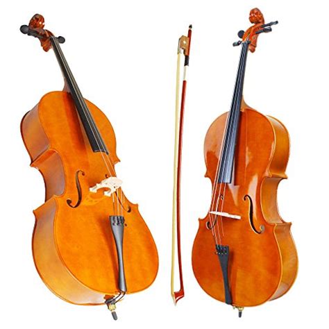 12 Different Types Of Cellos