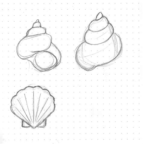 Simple Shell Drawing at PaintingValley.com | Explore collection of Simple Shell Drawing