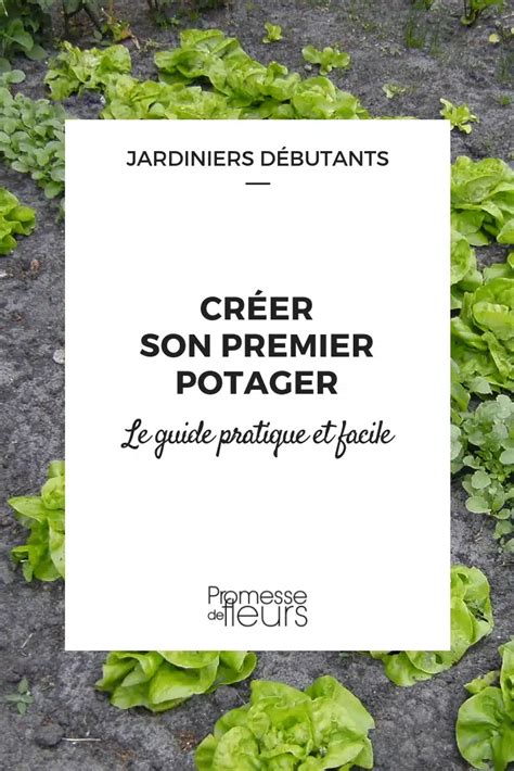 Comment Prendre Soin De Vos Plantes En Cas De Soucis Guide Complet