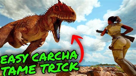 No Trap EASY Carcha Tame TRICK On Ark Survival Ascended Easily Tame