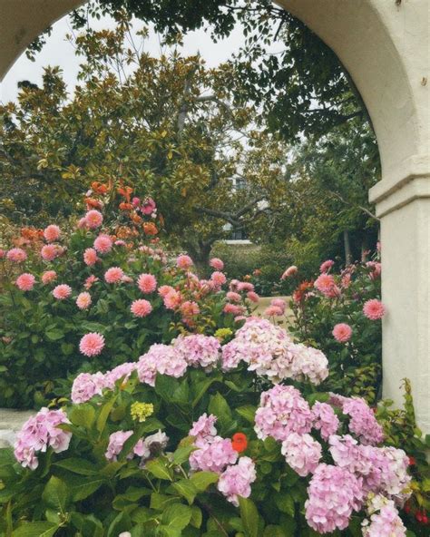 vintage aesthetic floral photo | Flower garden, Floral photo, Floral