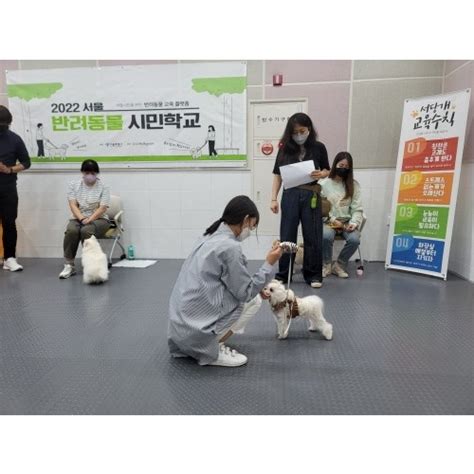 서울 반려동물 시민학교 갤러리