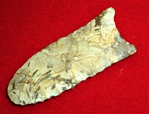 NC Arrowhead Paleo Clovis Dalton Authentic Indian Artifact Watauga Co N