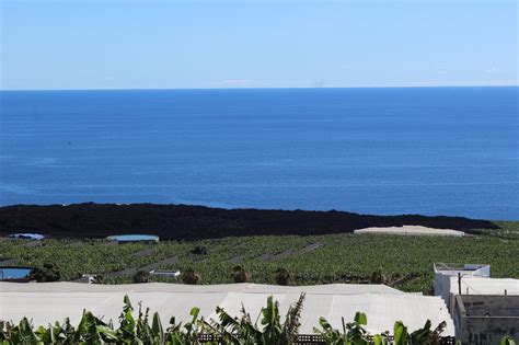 La Asociaci N Agua Para La Palma Se Manifiesta El D A Contra La